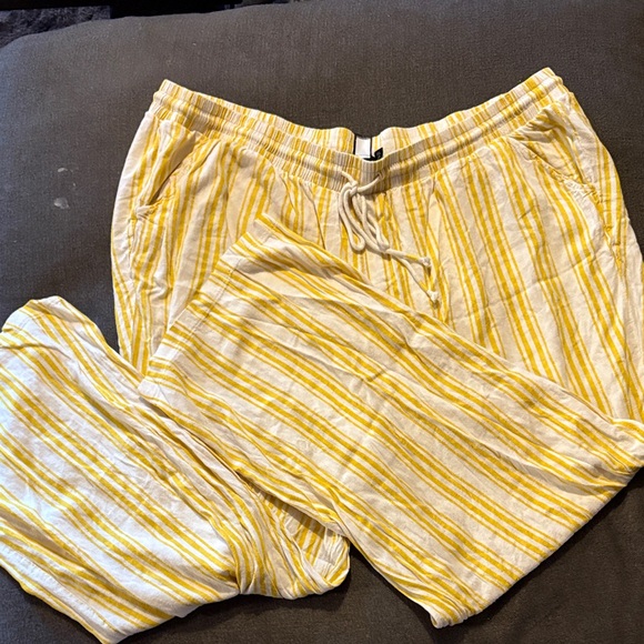 torrid Pants - Torrid pants